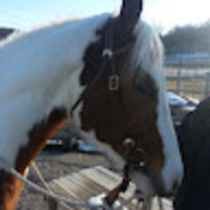 Meet your Posher, Toni